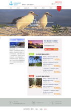 阿湛與ZCOOL 探索動(dòng)漫設(shè)計(jì)的精彩世界